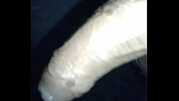 Can you suck my cock dick and get cum from it